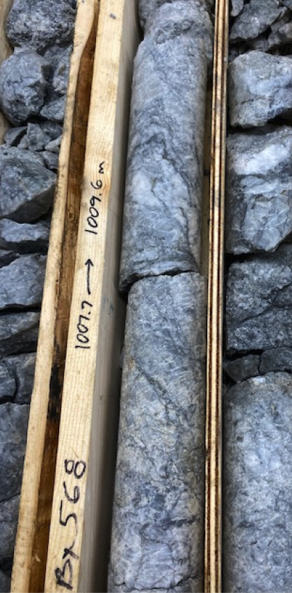 Shear Hosted Gold Bearing Veinlets