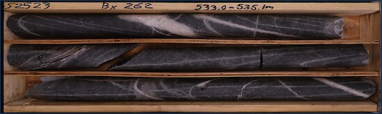 2025 11 05 Nr Fig2.550x0 Is